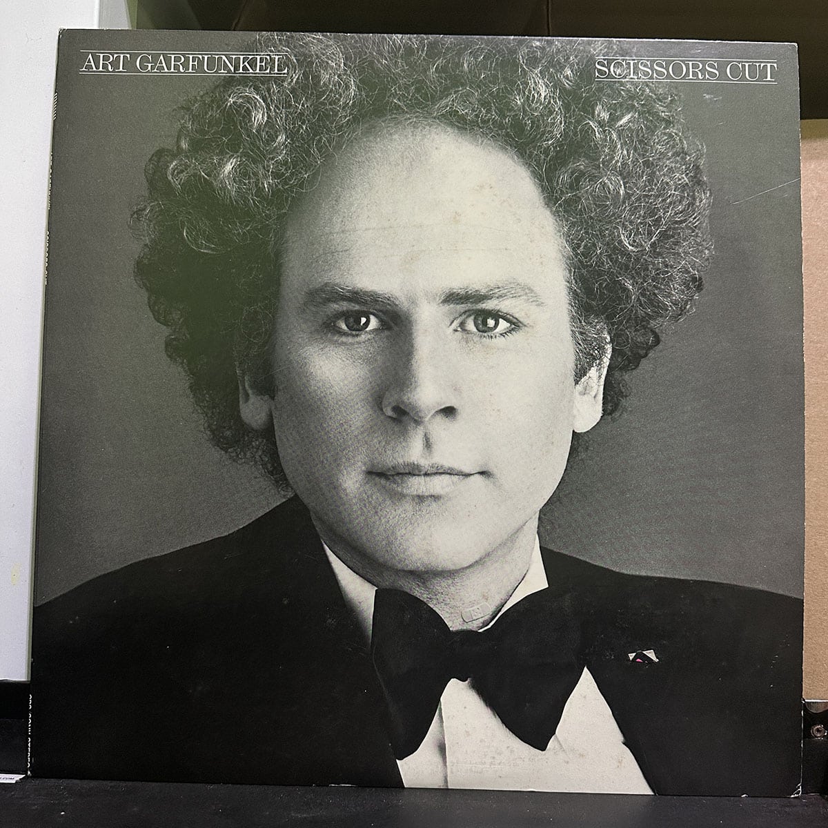 Art Garfunkel – Scissors Cut 黑膠唱片正面