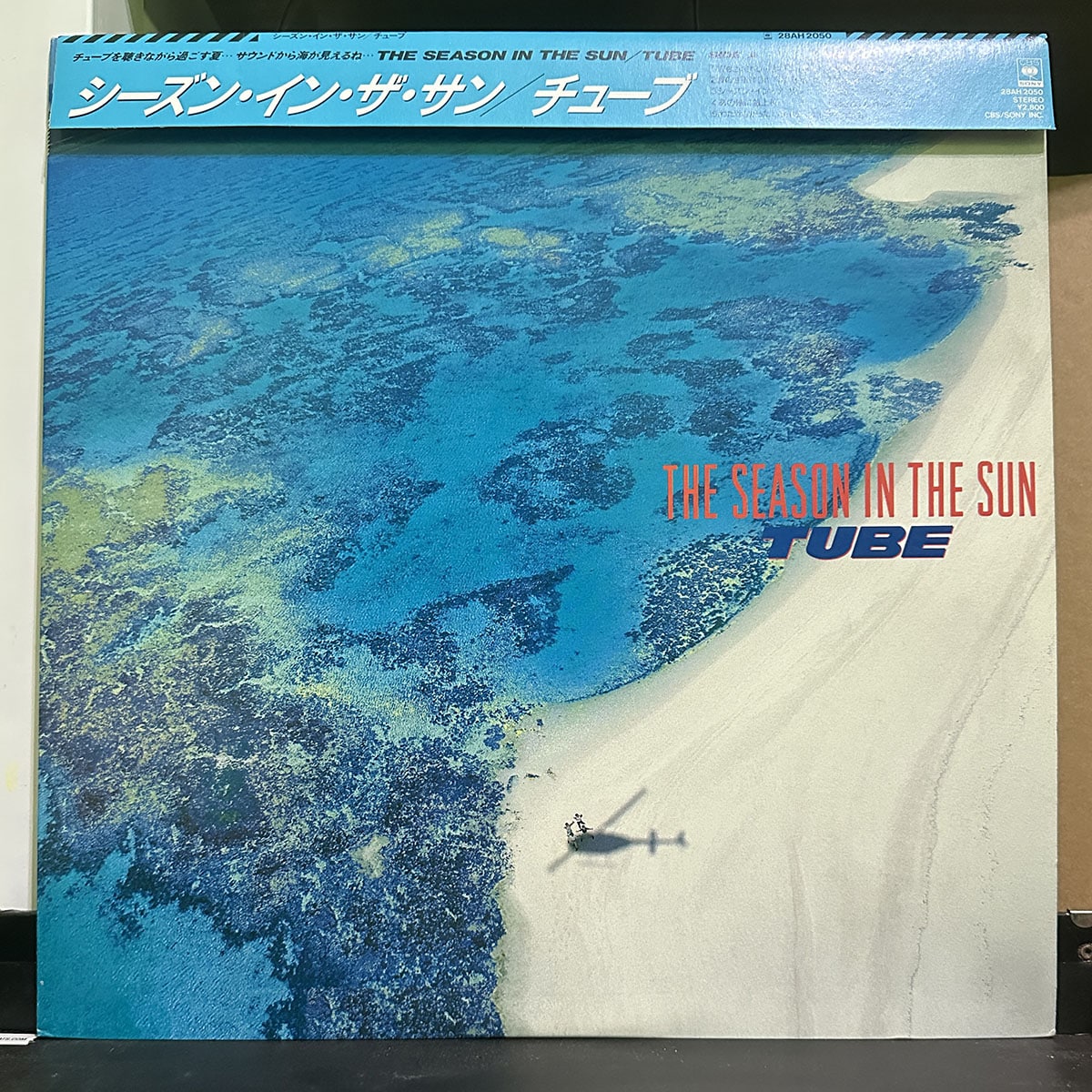 TUBE – The Season In The Sun 黑膠唱片正面