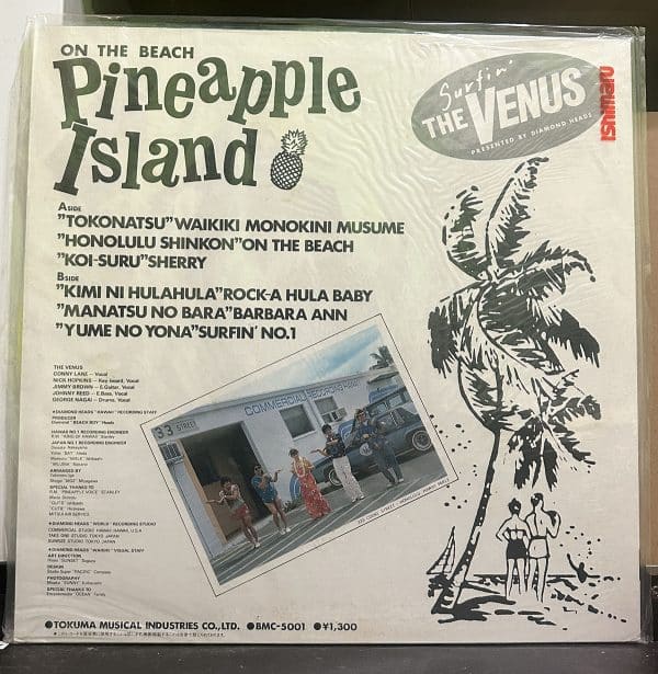 The Venus – On The Beach Pineappple Island 黑膠唱片背面